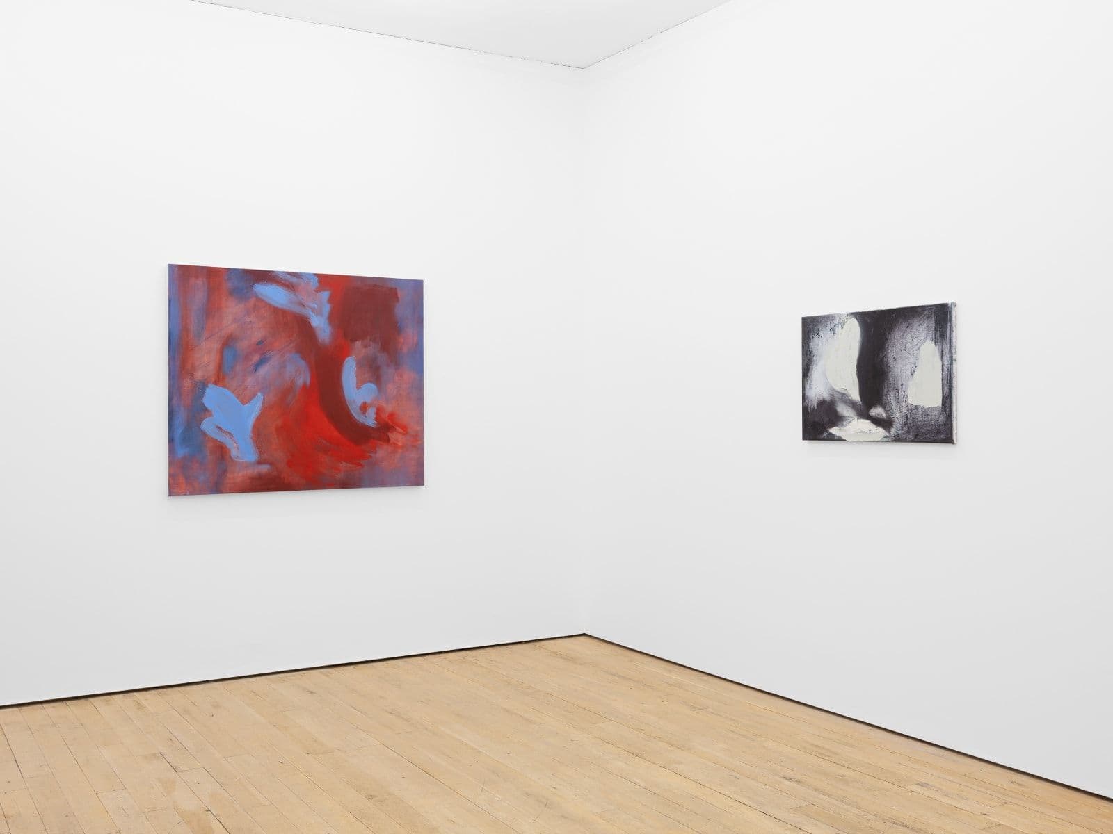 Julia Dubsky — M/modesty — image 4 of 6