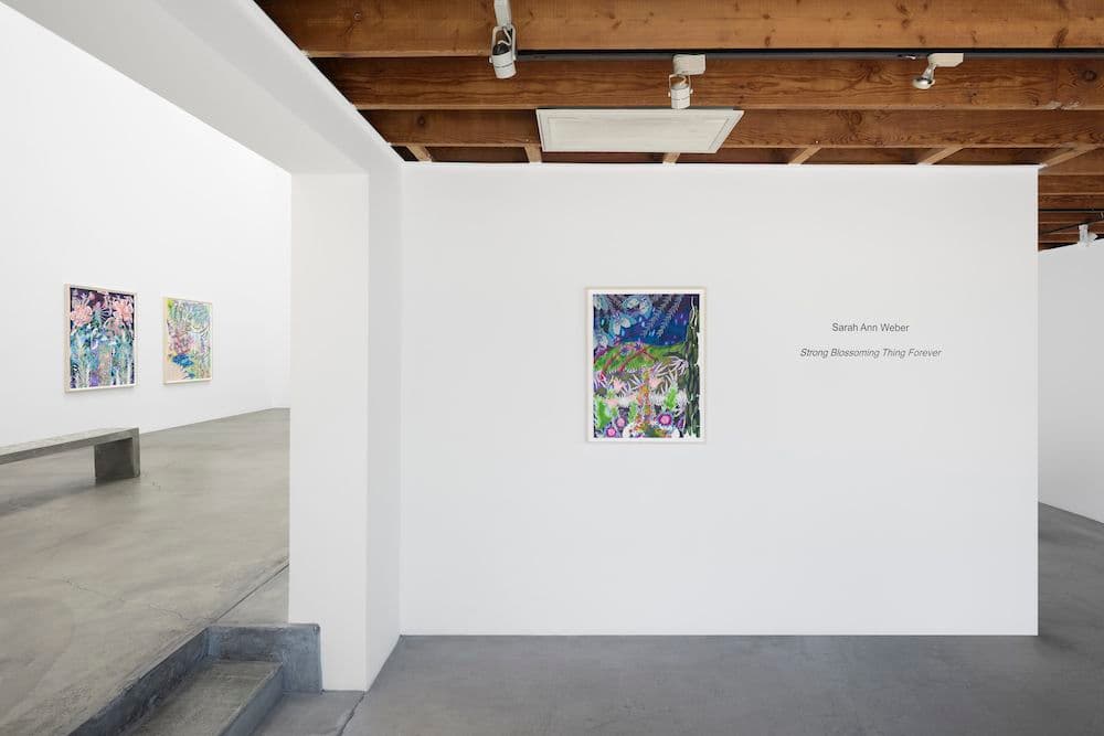 Sarah Ann Weber — Strong Blossoming Thing Forever — image 4 of 4