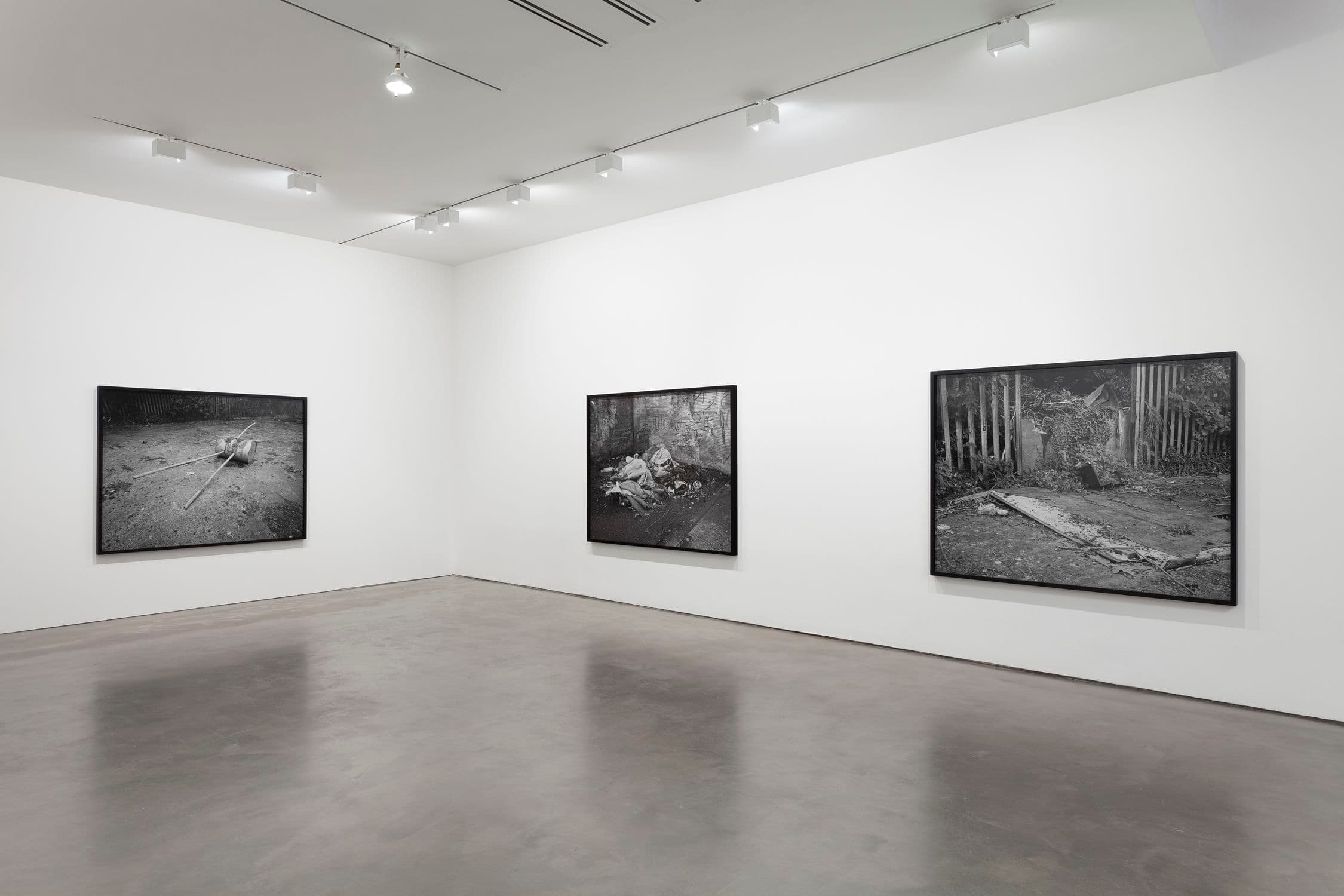Willie Doherty — Willie Doherty — image 3 of 7
