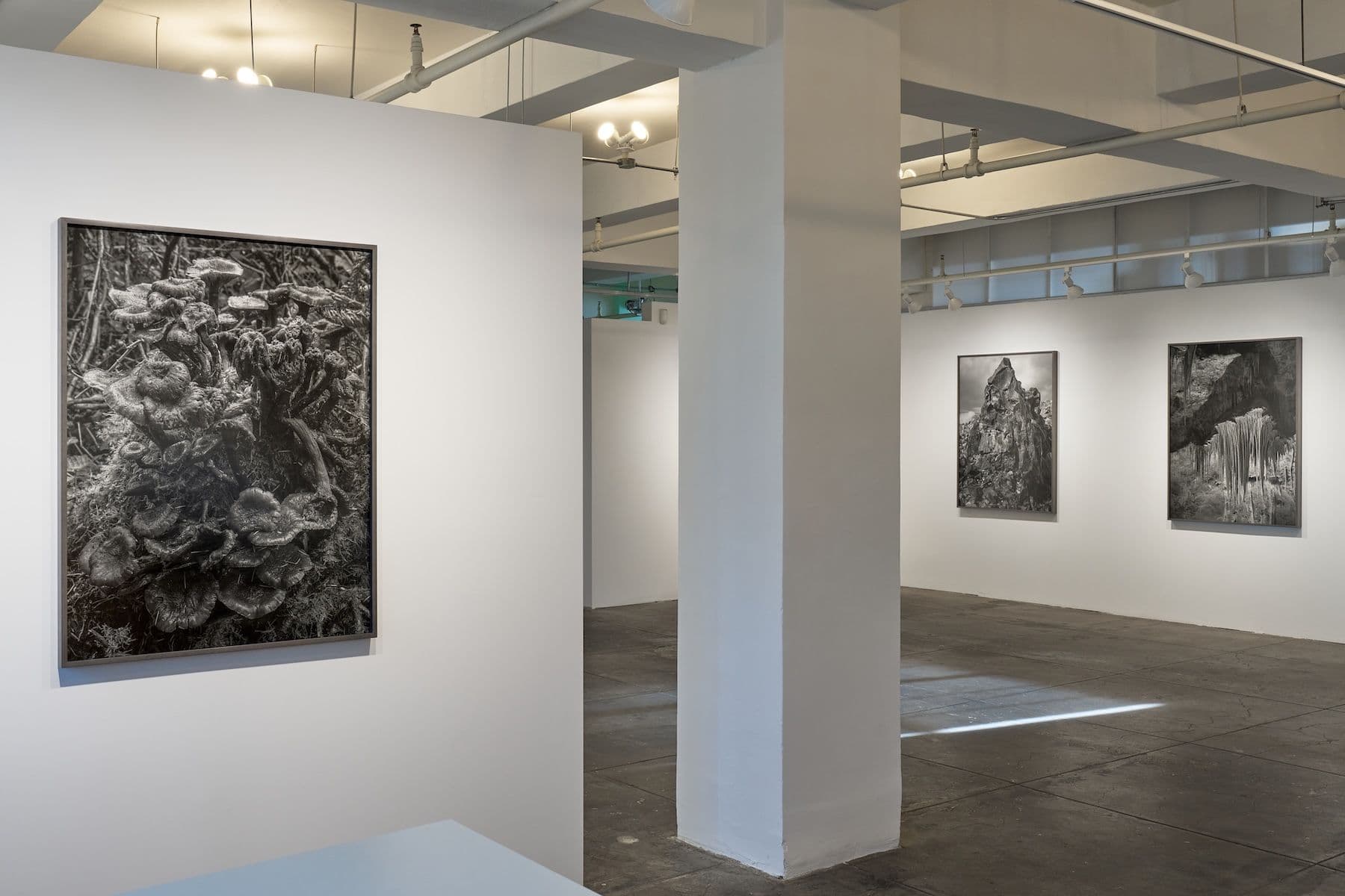 Ron Jude — Low Tide — image 7 of 12