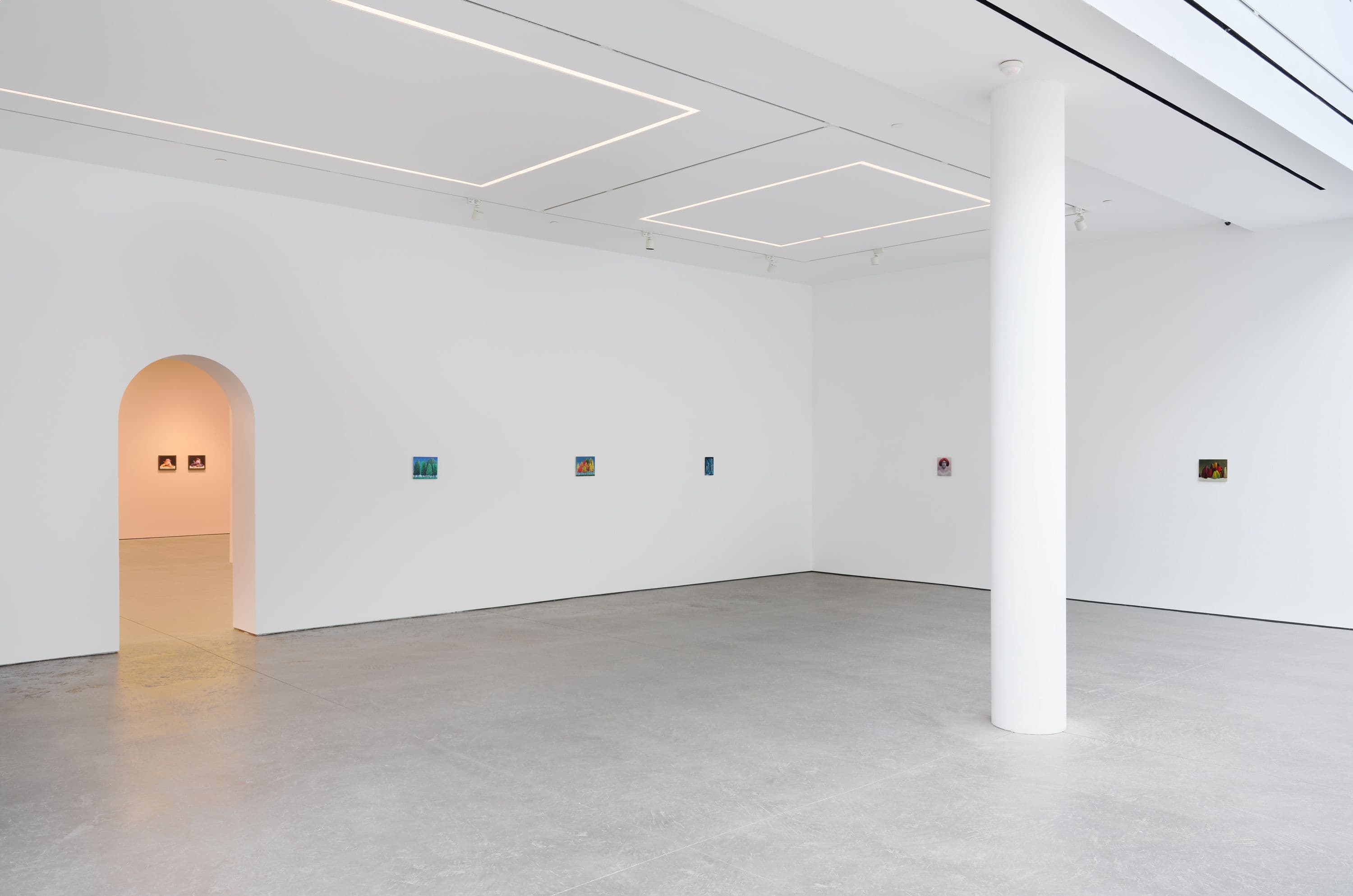 Nicolas Party — Dead Fish — image 7 of 12