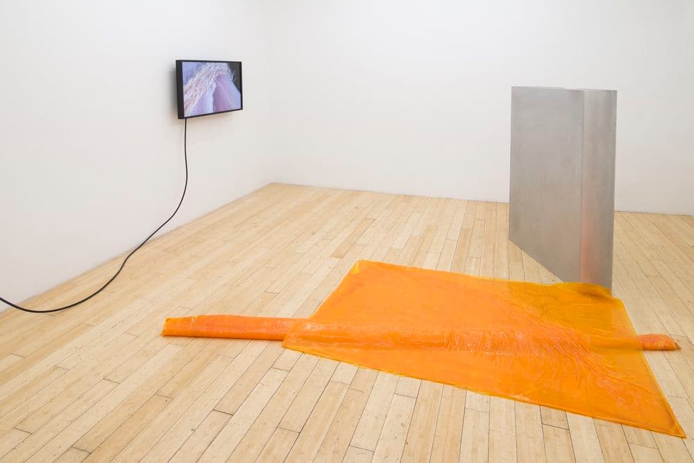 David J. Merritt — Flesh of My Flesh — image 4 of 4