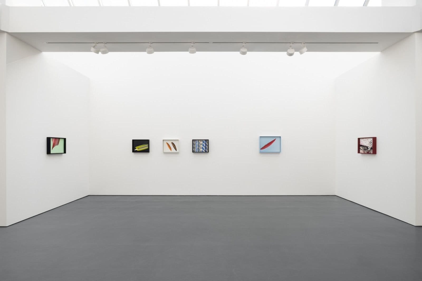 Tauba Auerbach — Clepsydra — image 1 of 3