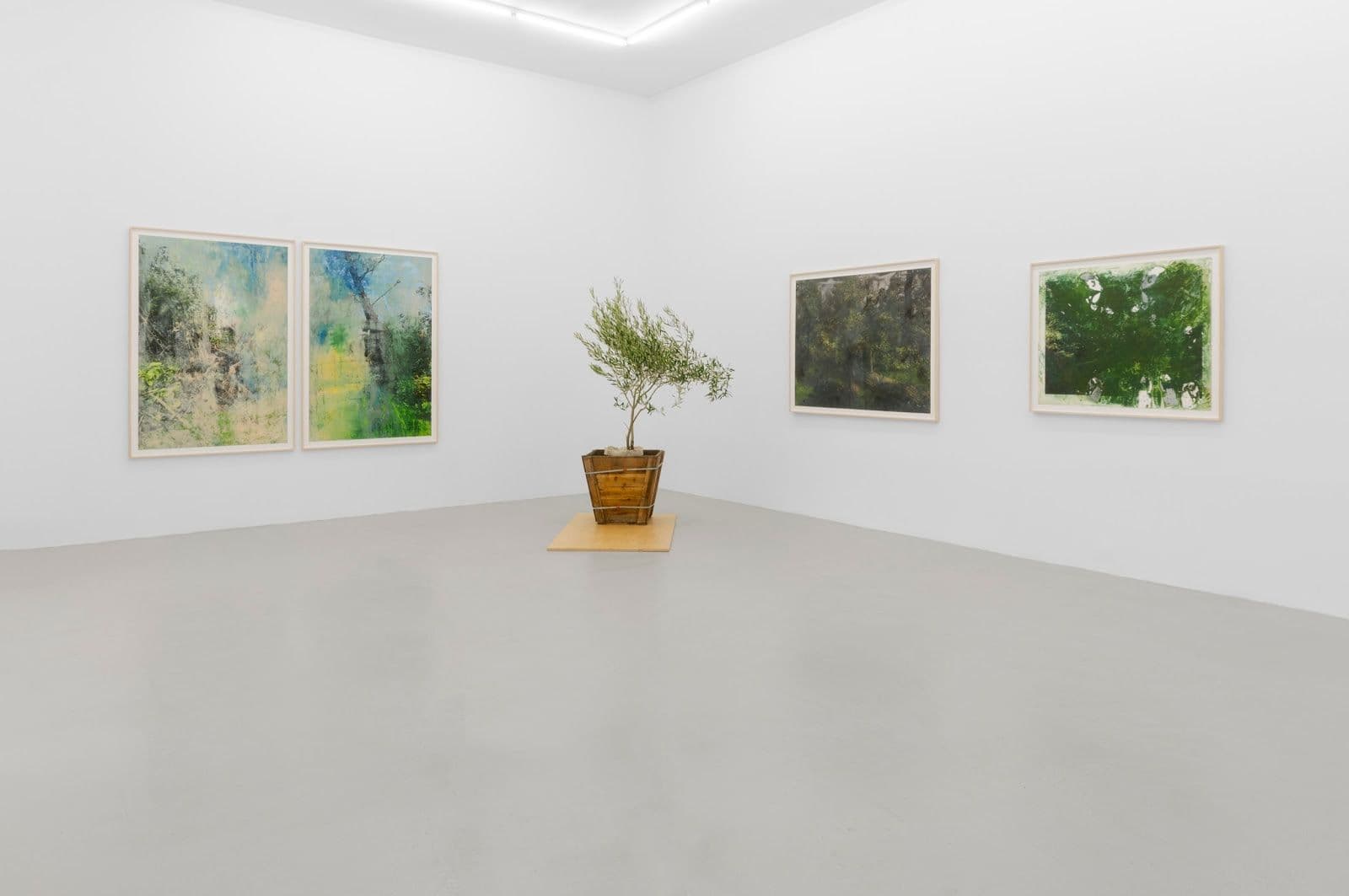 Cole Sternberg — A Forest of Thoughts in Quick Succession — image 3 of 4