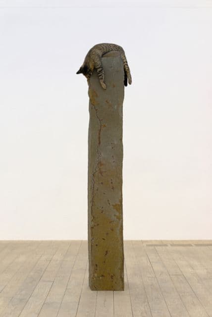 Stephen Lichty — Stephen Lichty — image 6 of 6