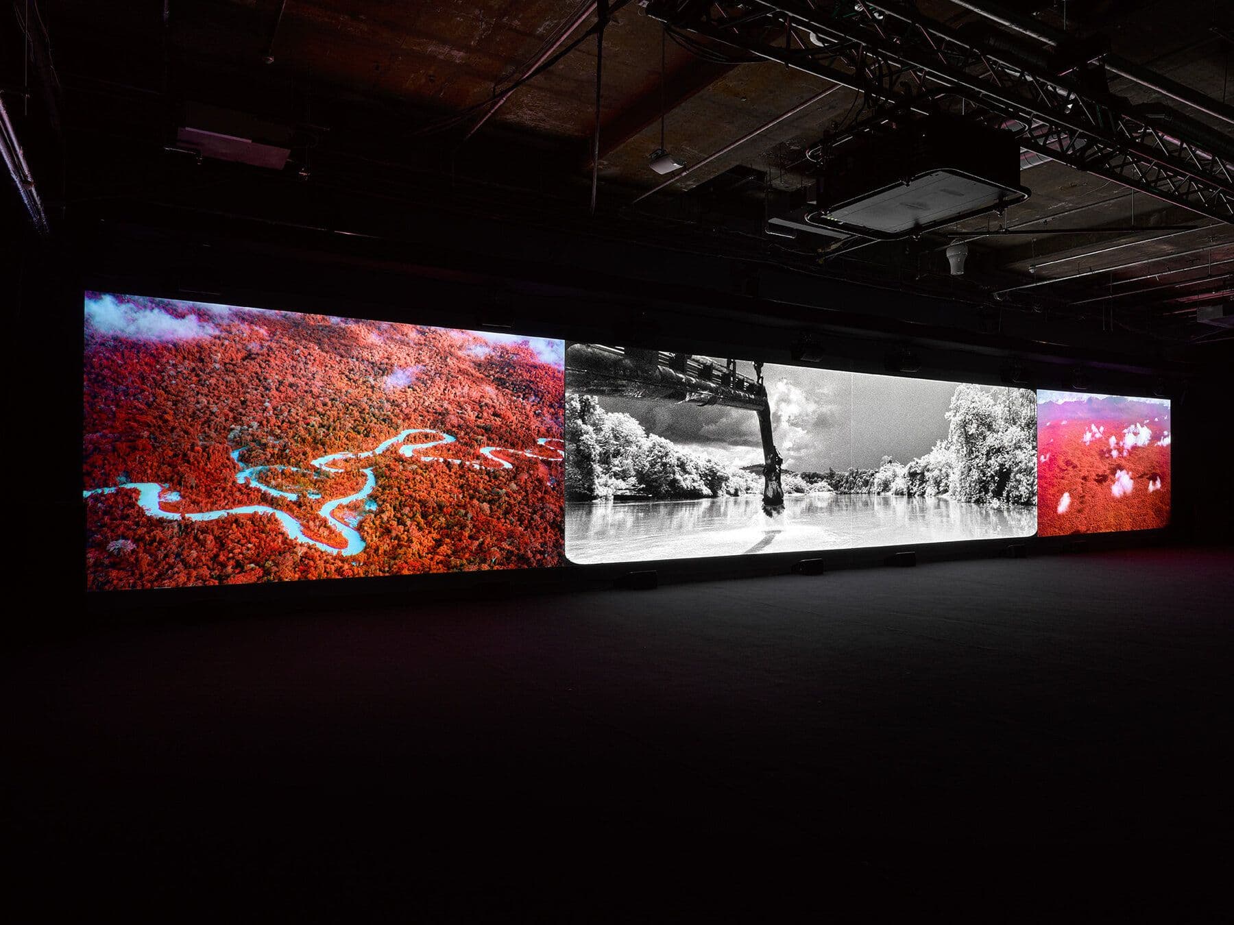 Richard Mosse — Broken Spectre