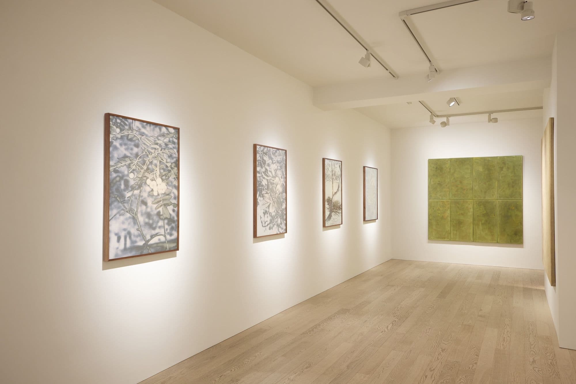 The Garden and the Gaze - Image 2