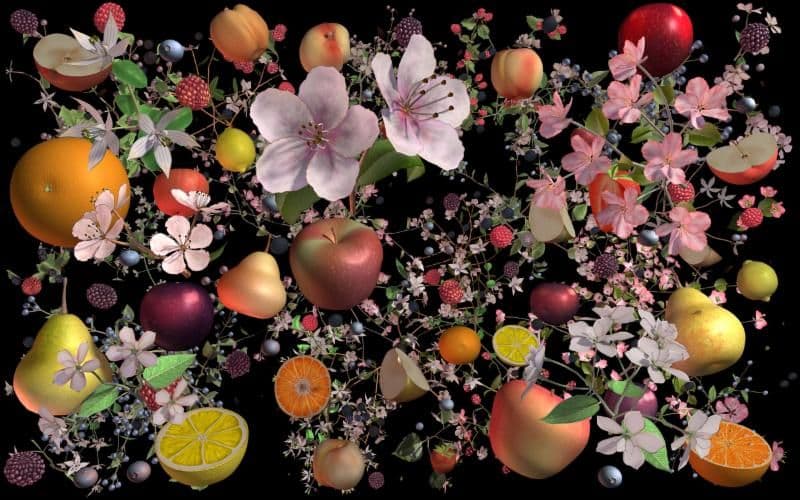 Jennifer Steinkamp — Still-Life — image 2 of 2