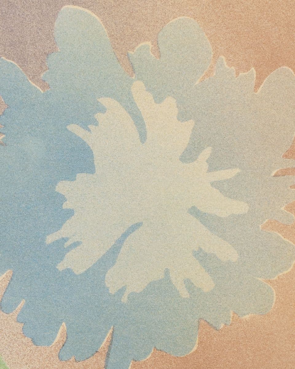 Matthew Lutz-Kinoy — Princess PomPom: Medicine Blue