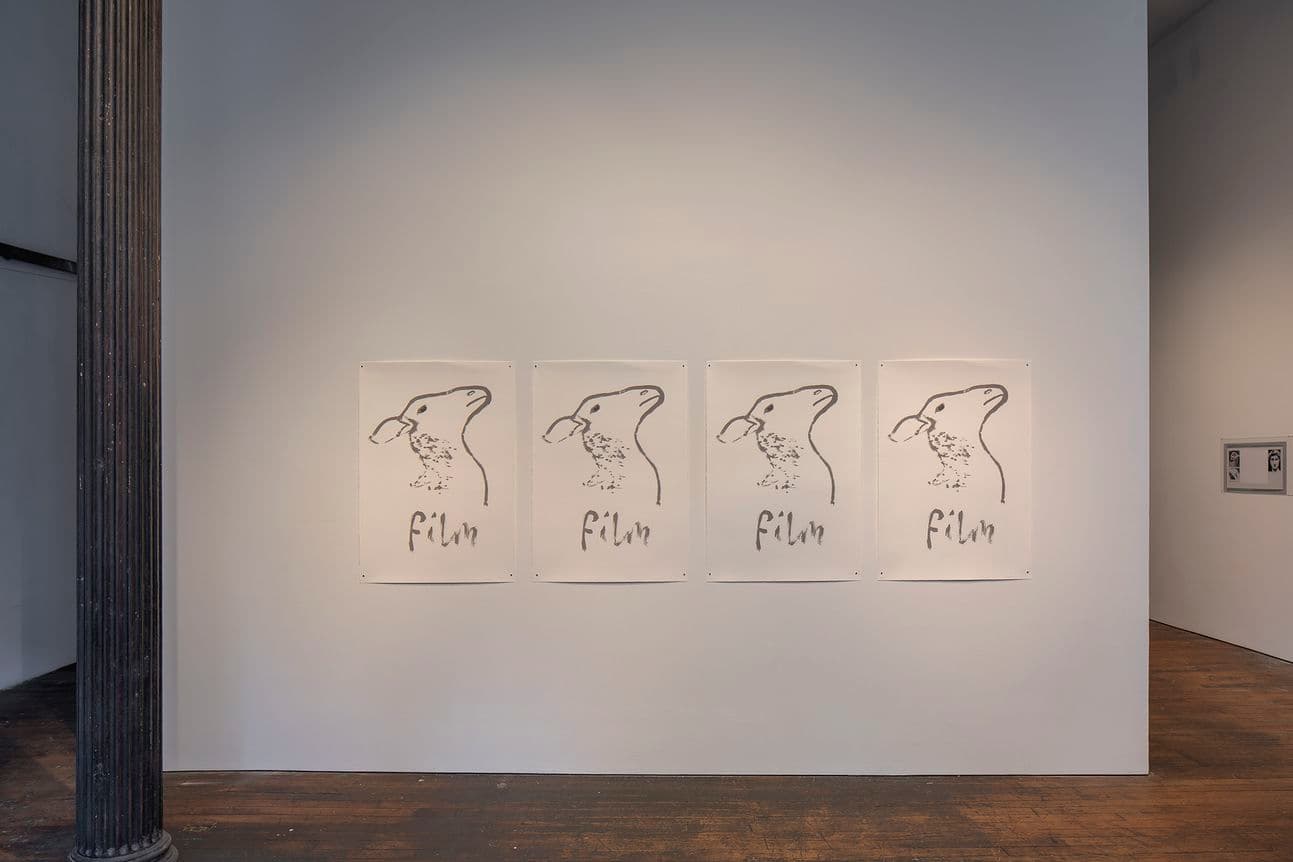 Rosalind Nashashibi & Lucy Skaer — Pygmalion Margaret Ursus Uan — image 10 of 10