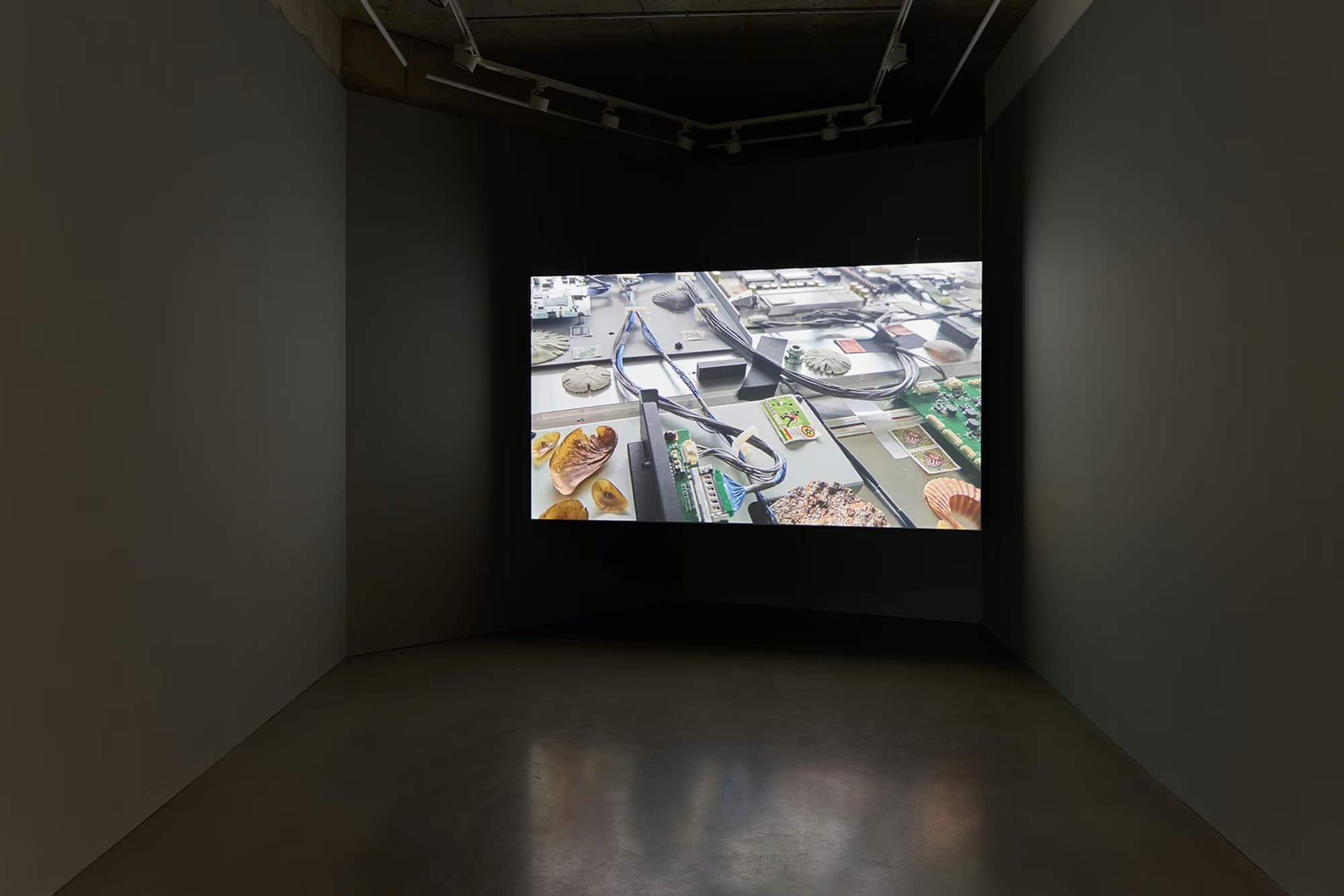 Wolfgang Tillmans — Build From Here