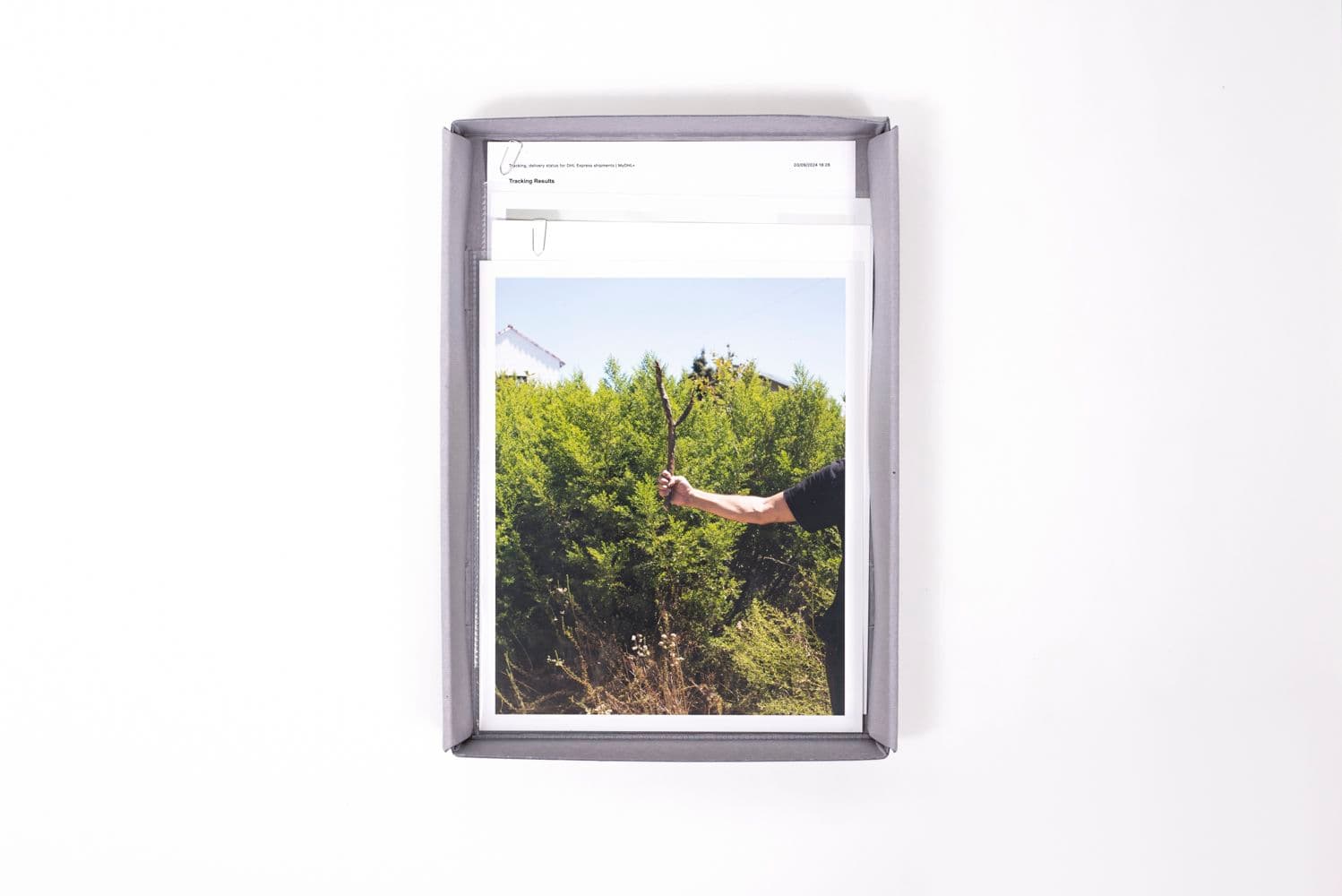 David Horvitz — Avenues All Lined With Trees — image 4 of 8