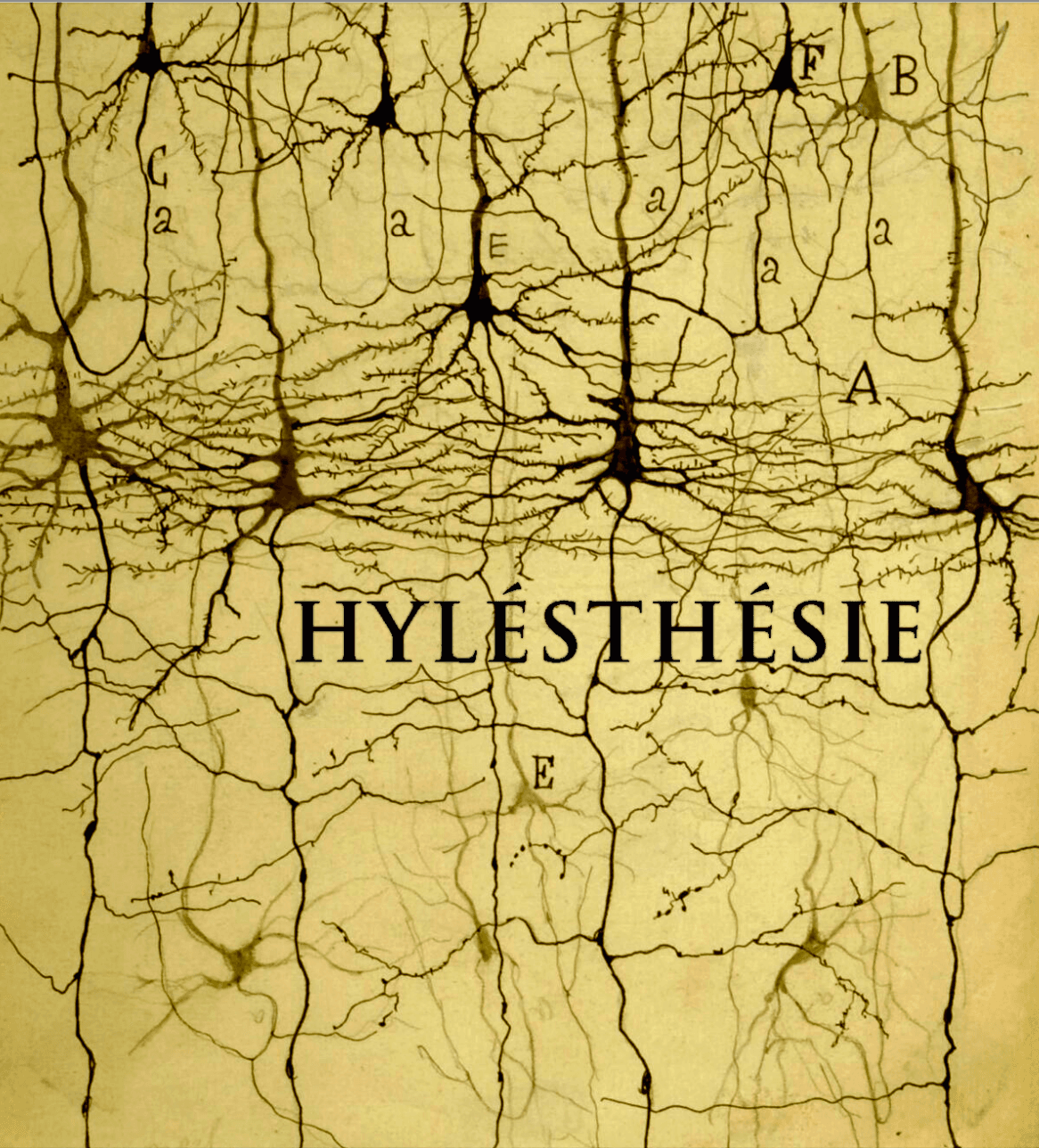 Cécile Beau — Hylésthésie