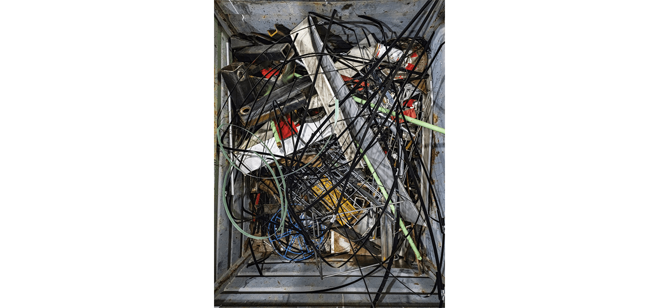 Thomas Struth — Nature & Politics