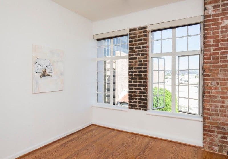 Urban Zellweger — Where Am I Reptile — image 1 of 3