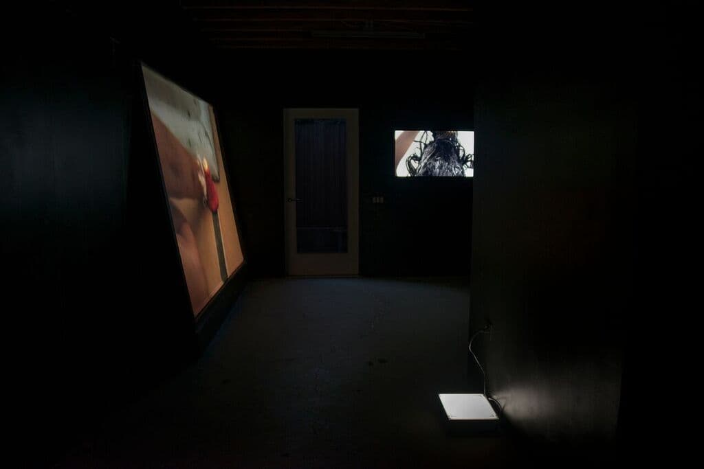 Mitra Saboury — Gut House — image 1 of 6