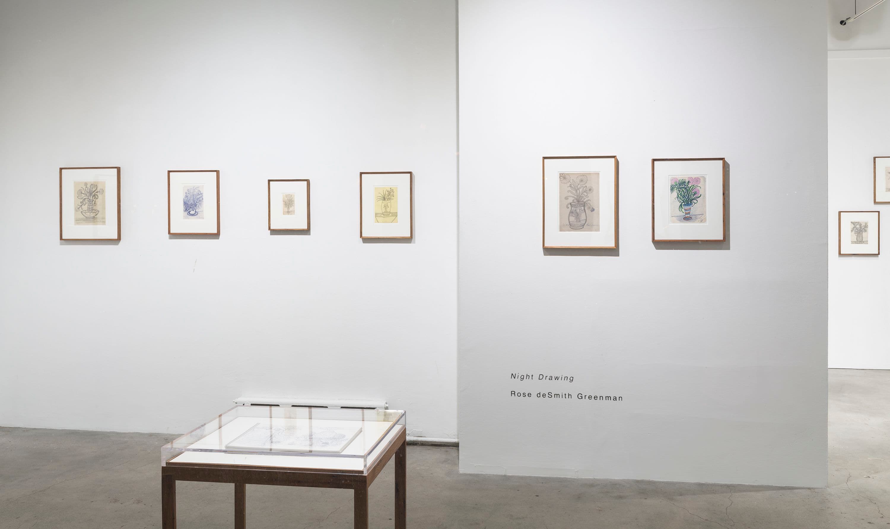 Rose deSmith Greenman — Night Drawing — image 1 of 5