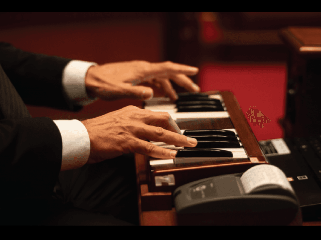 Angelica Mesiti — Assembly