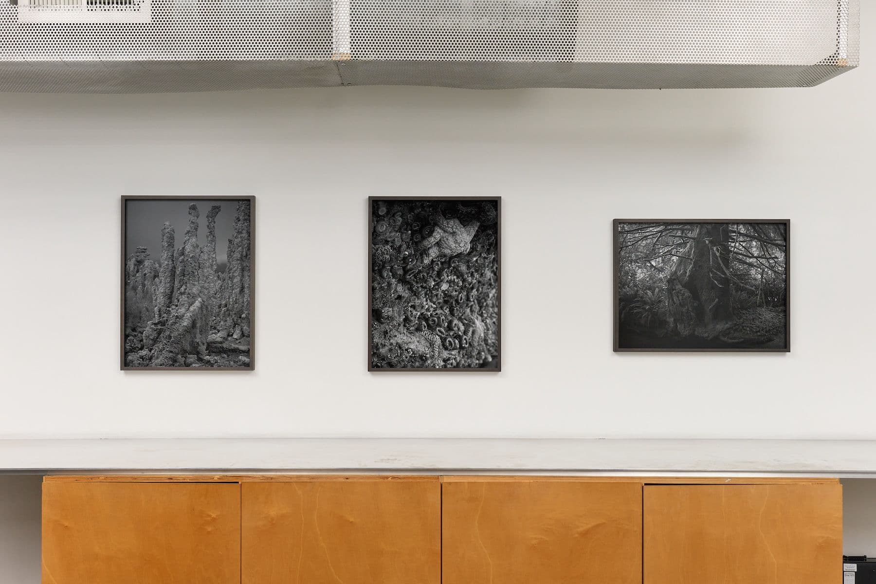Ron Jude — Low Tide — image 5 of 12