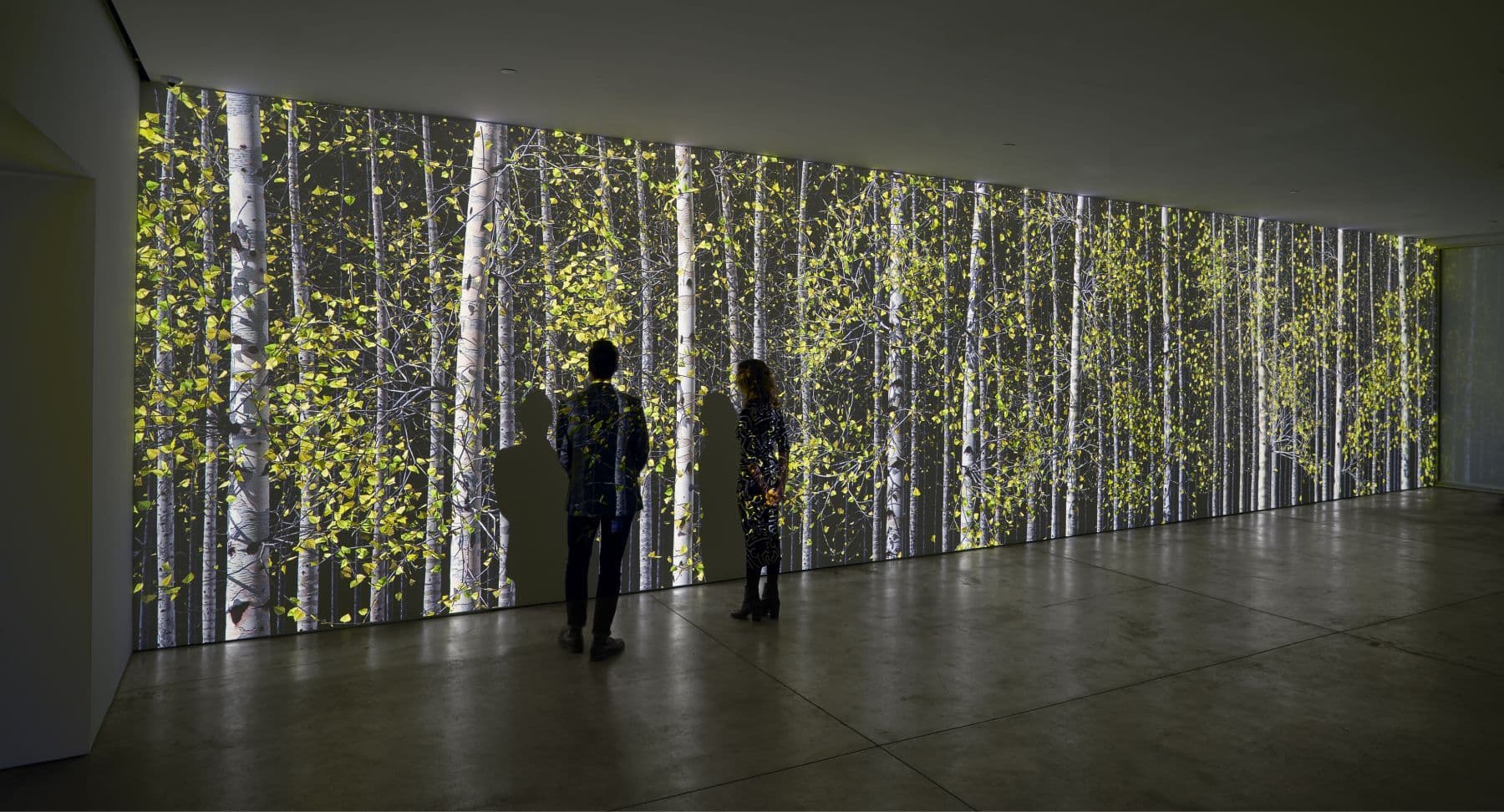 Group Exhibition — Can It Really Be 20 Years Already? Art in Our Times, Contemporary Masters, and Philanthropy — image 3 of 3