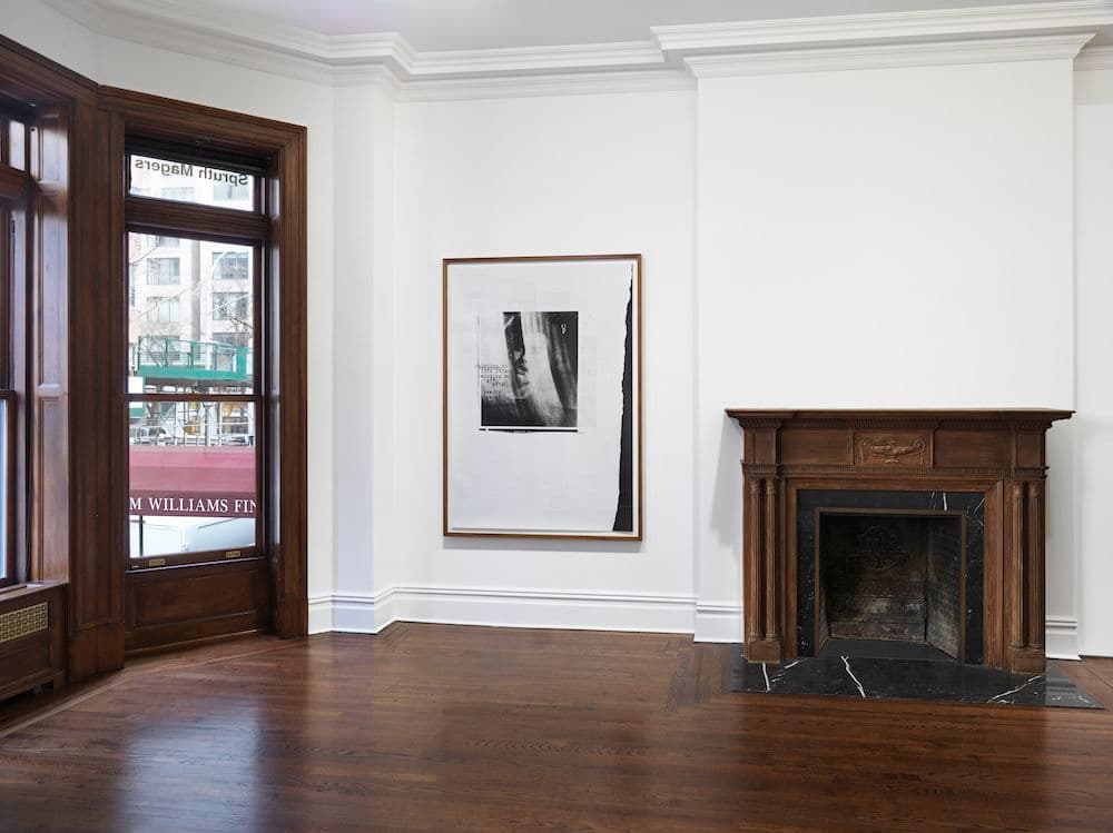 Astrid Klein — Astrid Klein — image 5 of 8