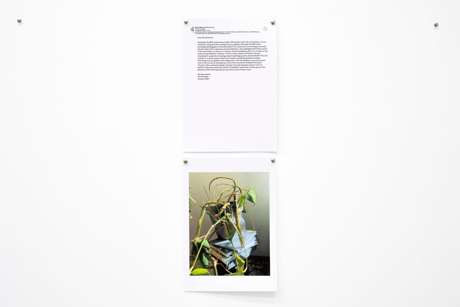 David Horvitz — Avenues All Lined With Trees — image 5 of 8