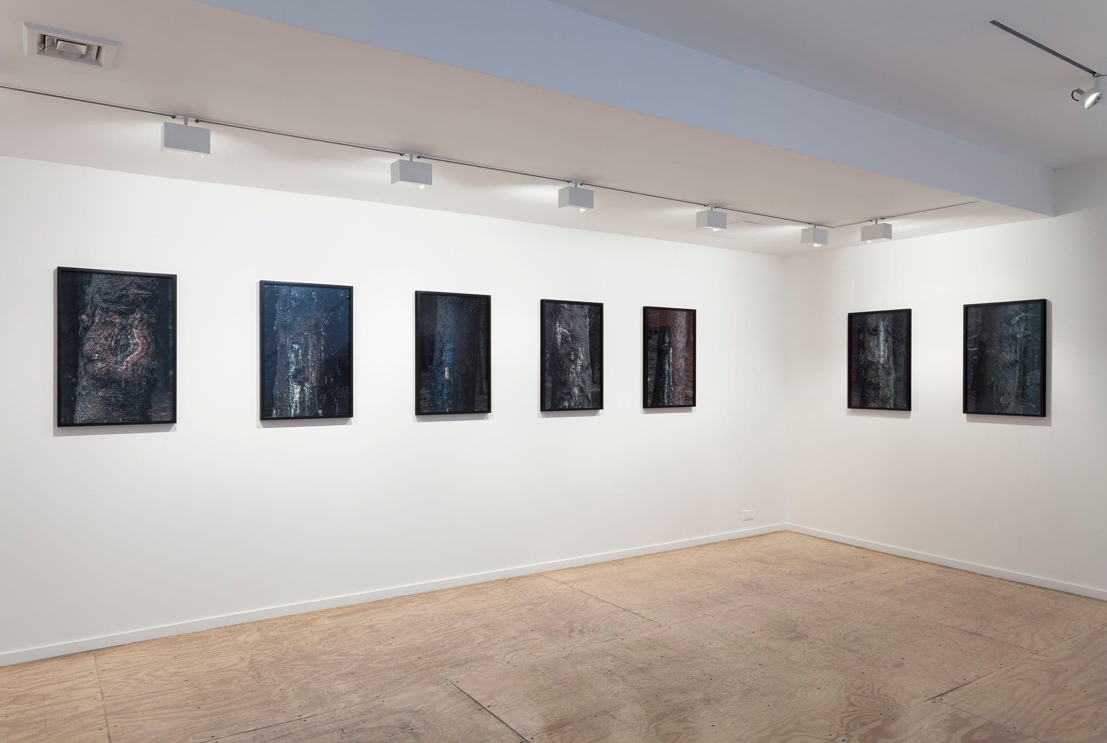 Willie Doherty — Willie Doherty — image 7 of 7