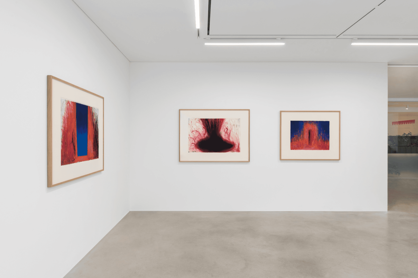 Anish Kapoor — Anish Kapoor — image 11 of 12