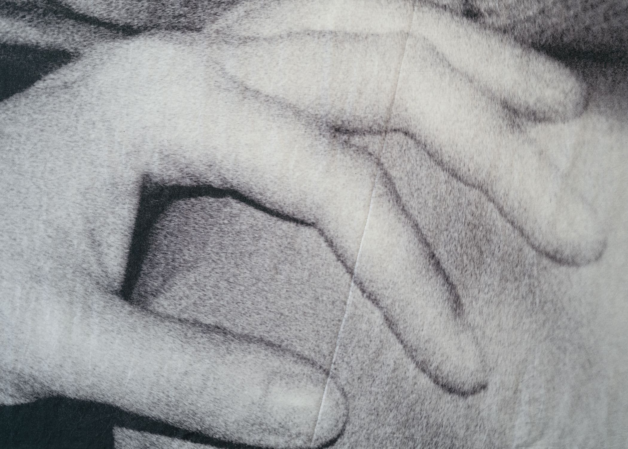 Joanna Piotrowska — A Place to Return — image 5 of 8
