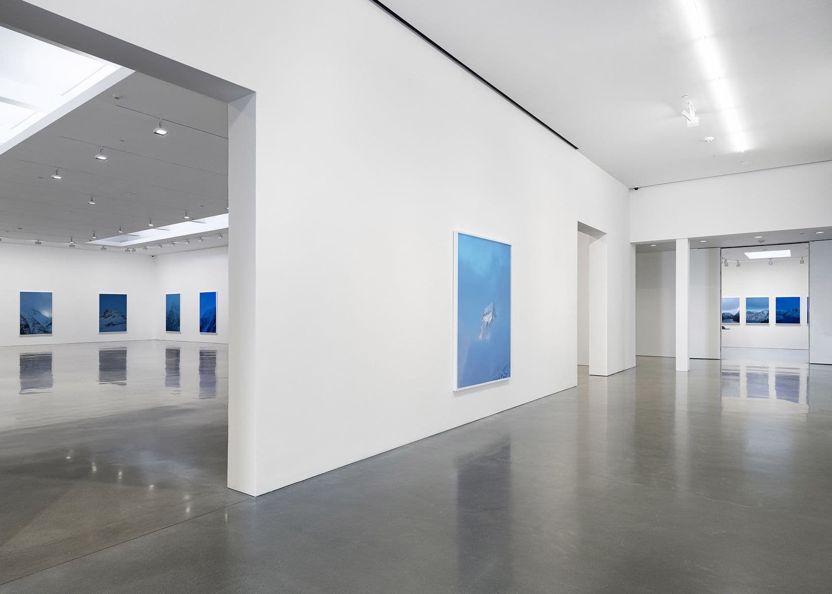 Catherine Opie — Holding Blue — image 8 of 8