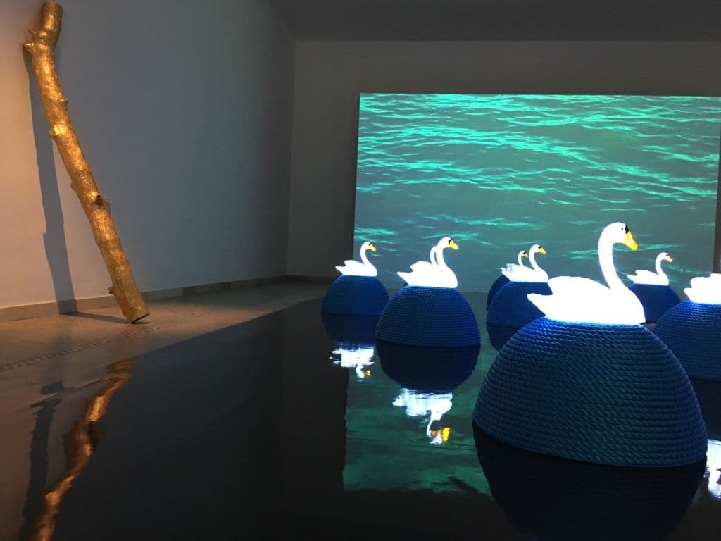 Jana Zelibska — Swan Song: Now — image 2 of 5