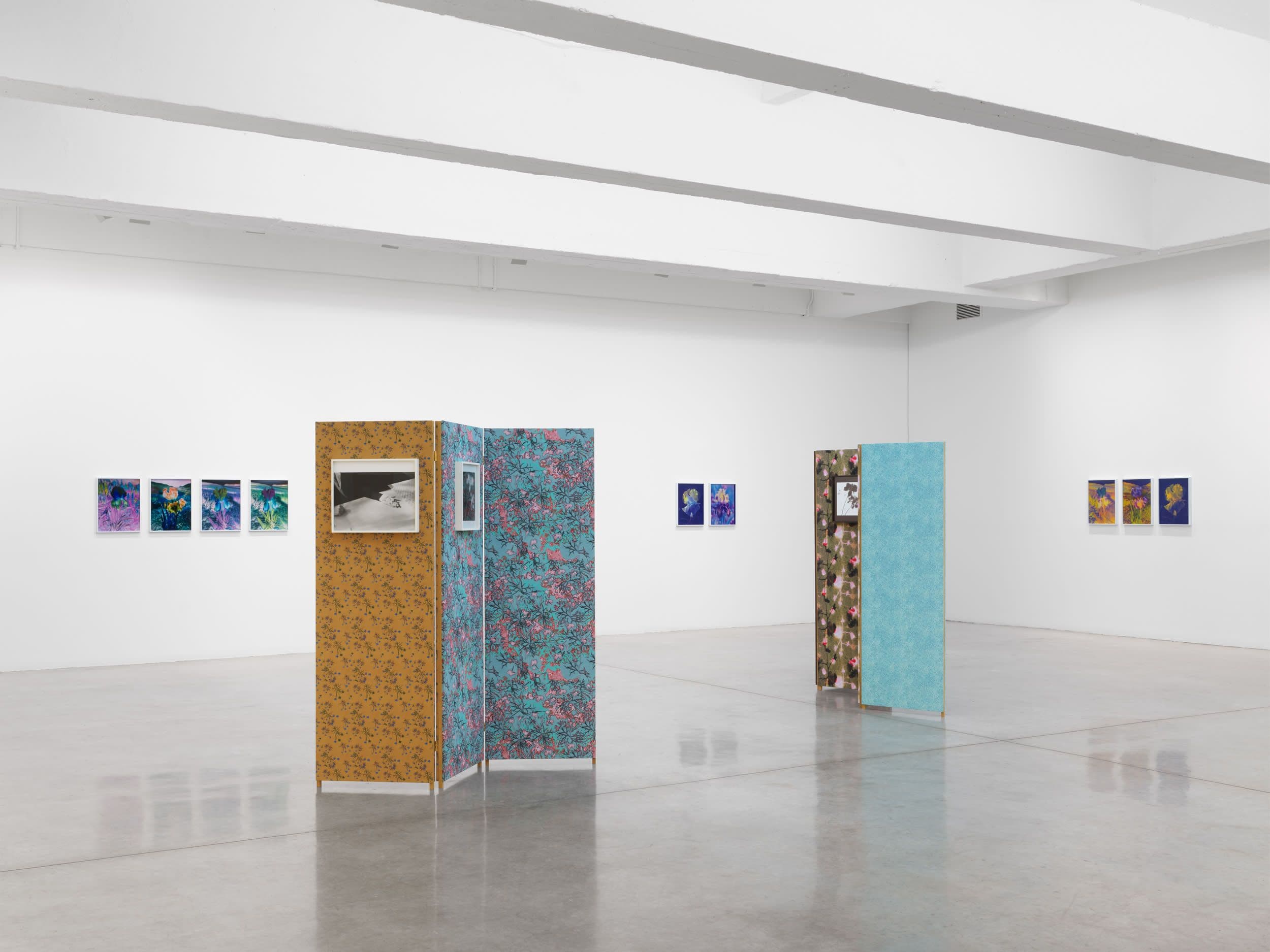 Lisa Oppenheim — Ourselves and the Expression of Ourselves — image 2 of 2