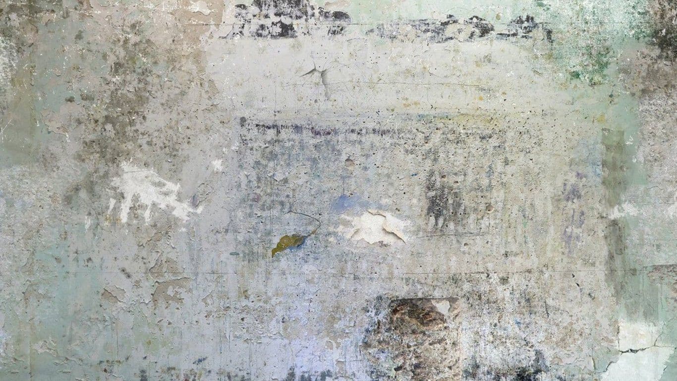 Eduardo Cardozo — Latent