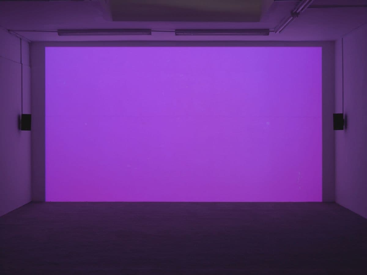 Elizabeth McAlpine — Light Reading — image 7 of 8