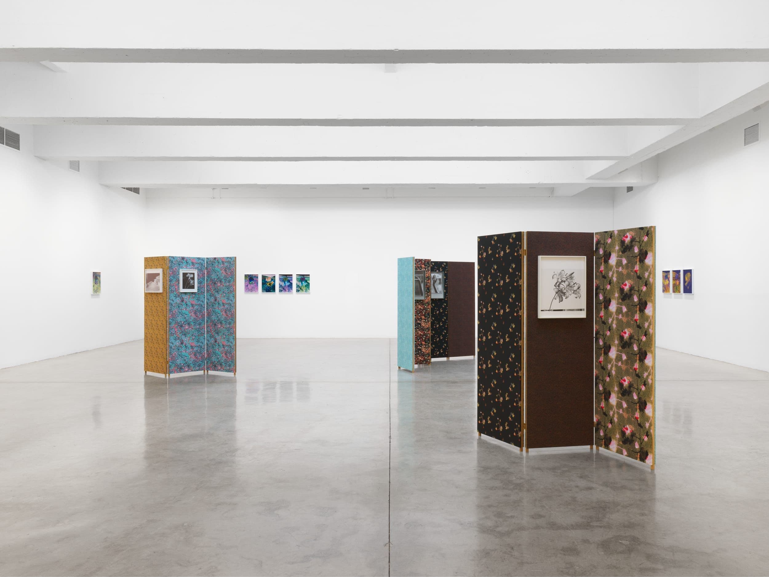 Lisa Oppenheim — Ourselves and the Expression of Ourselves — image 1 of 2