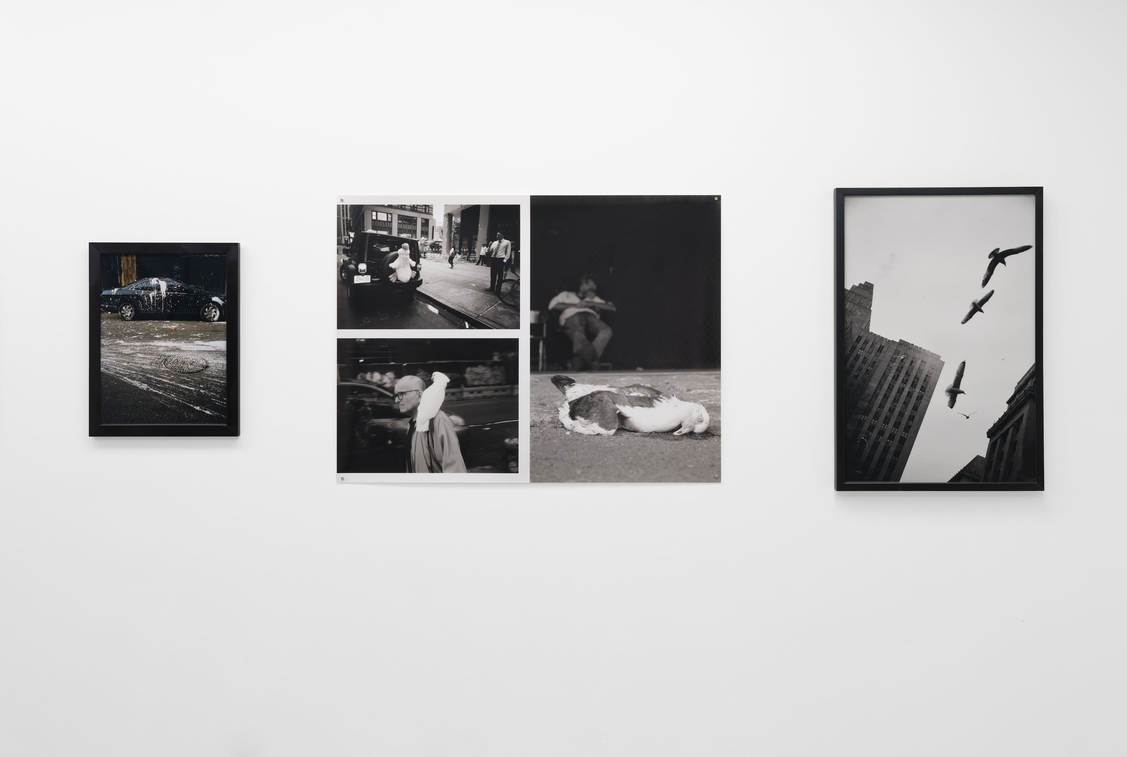 Cheryl Dunn — The Whiles NYC — image 8 of 8