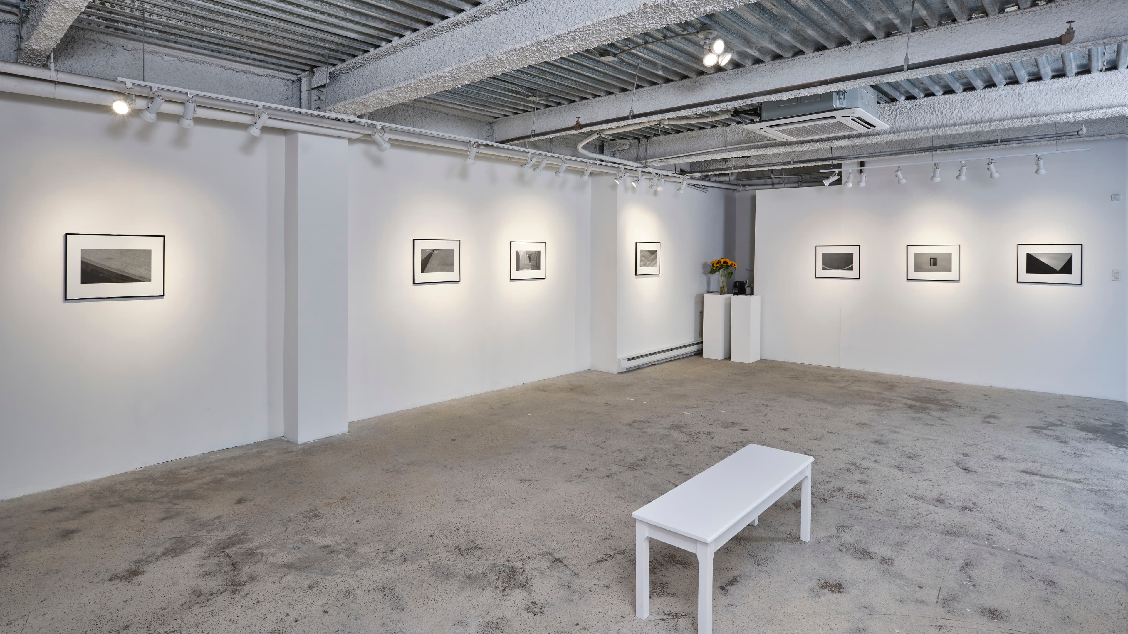 Prema Murthy — Deep Time I — image 6 of 8