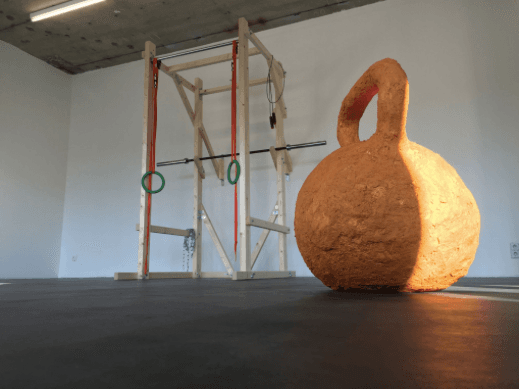 Rachel Harrison — Depth Jump to Second Box — image 2 of 8