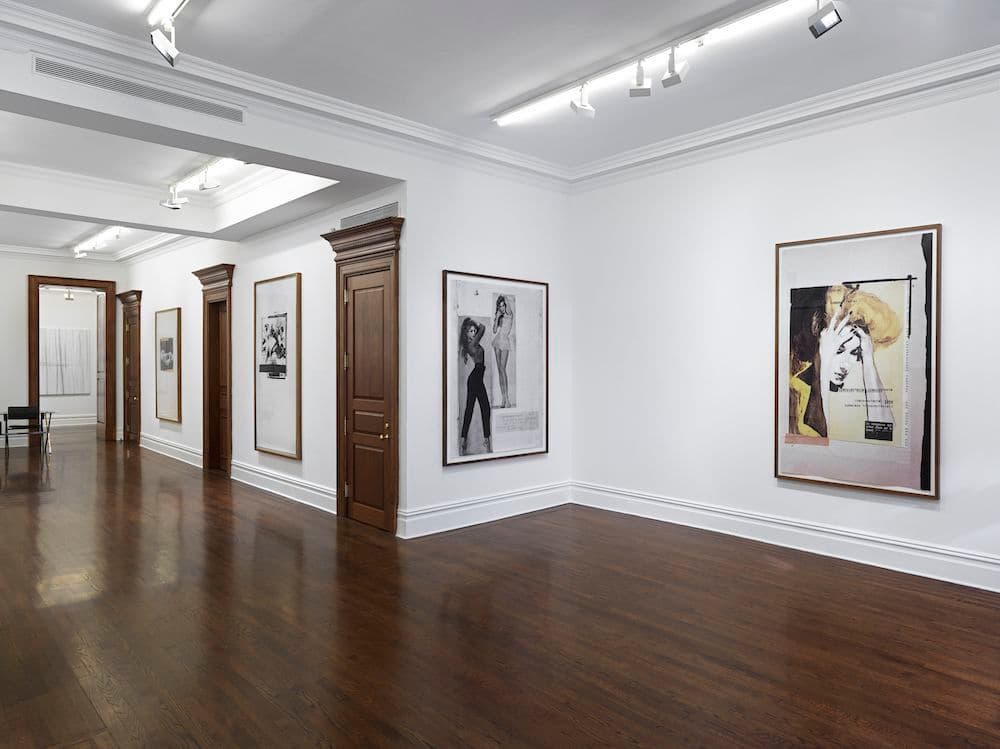 Astrid Klein — Astrid Klein — image 3 of 8