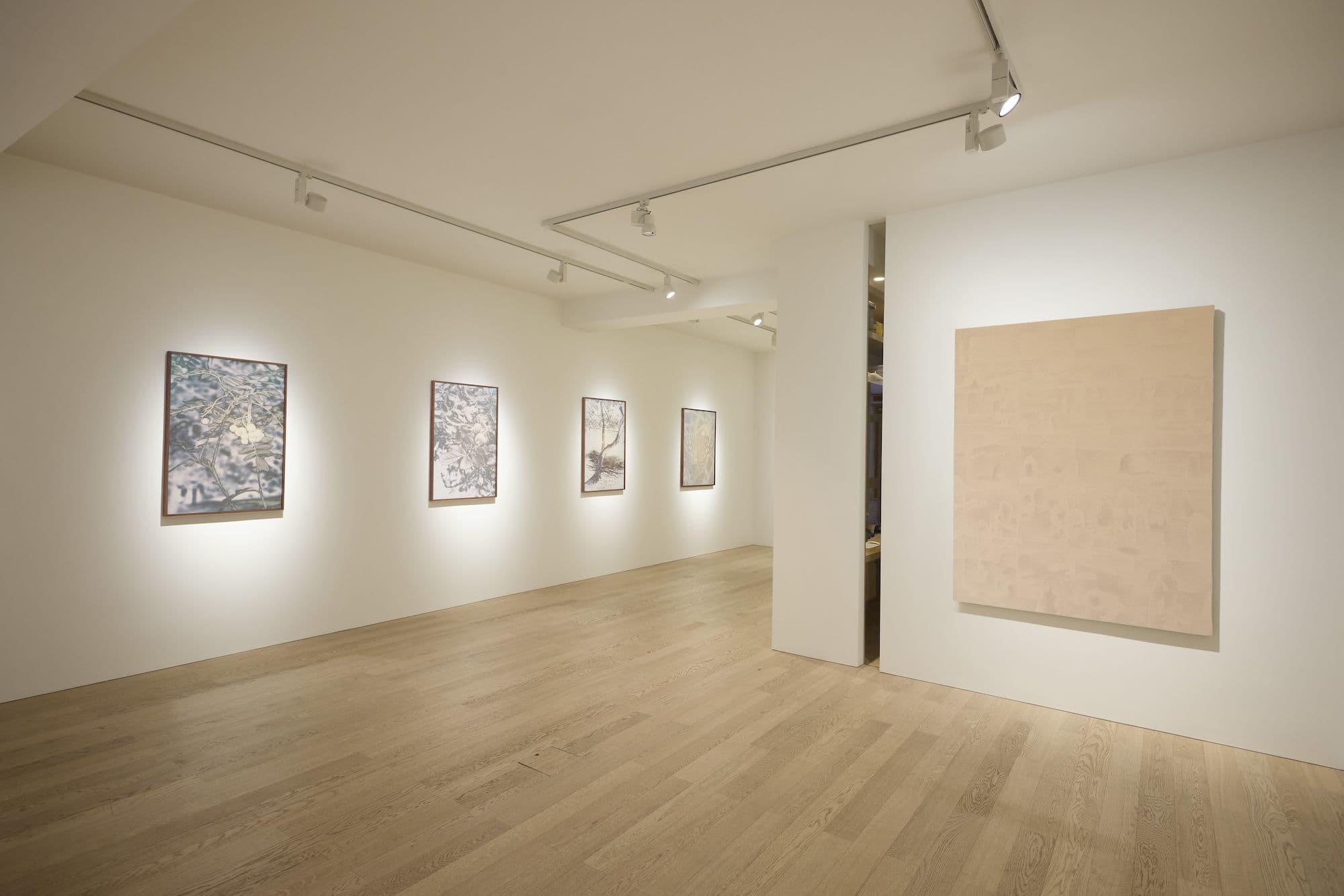 The Garden and the Gaze - Image 4