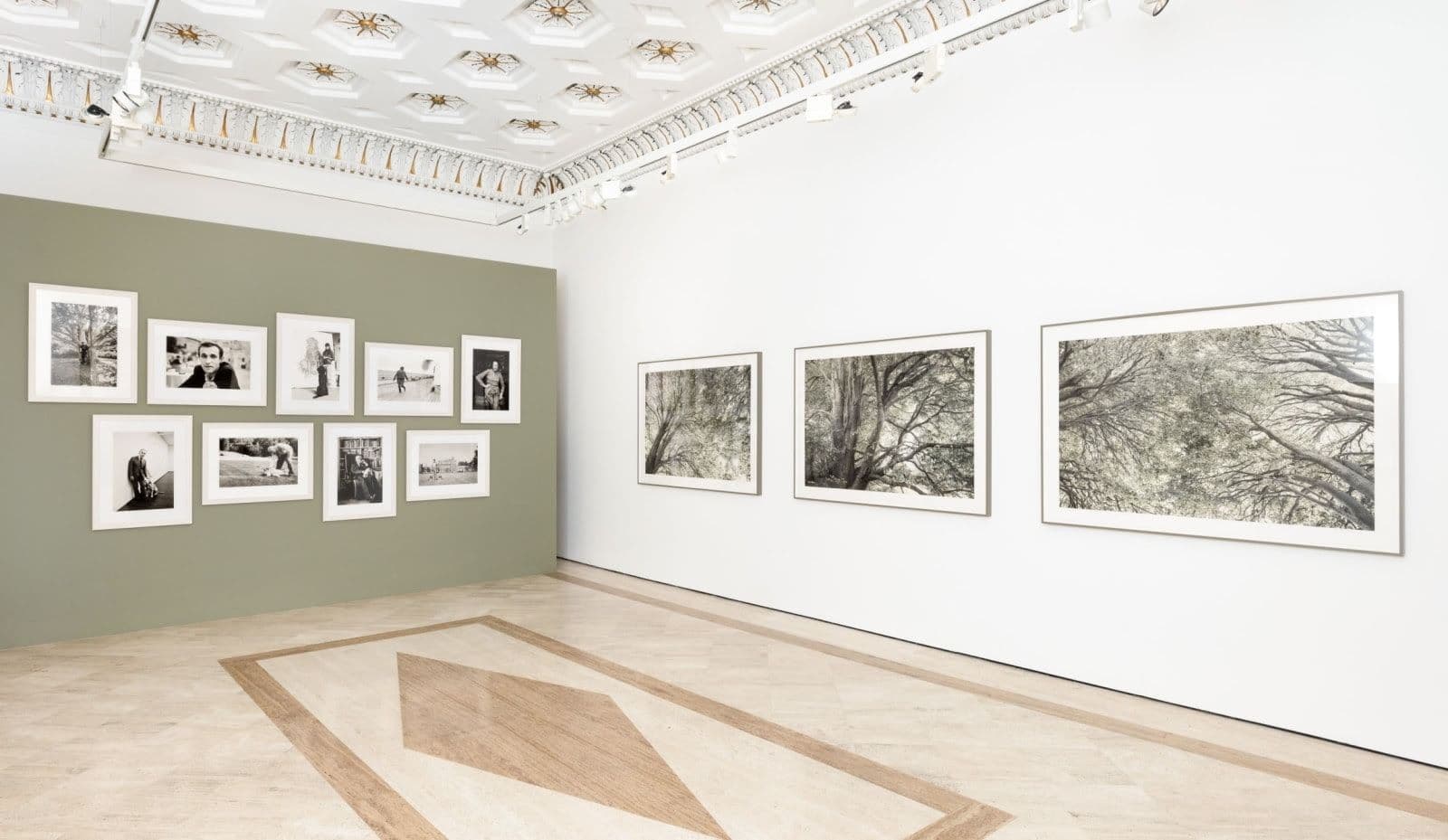 Priscilla Rattazzi — Between Worlds — image 1 of 2