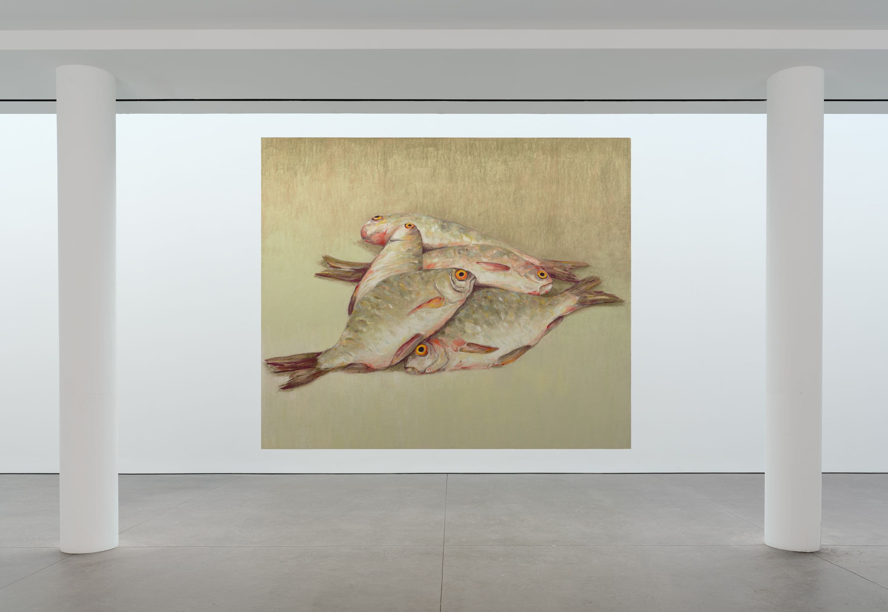 Dead Fish