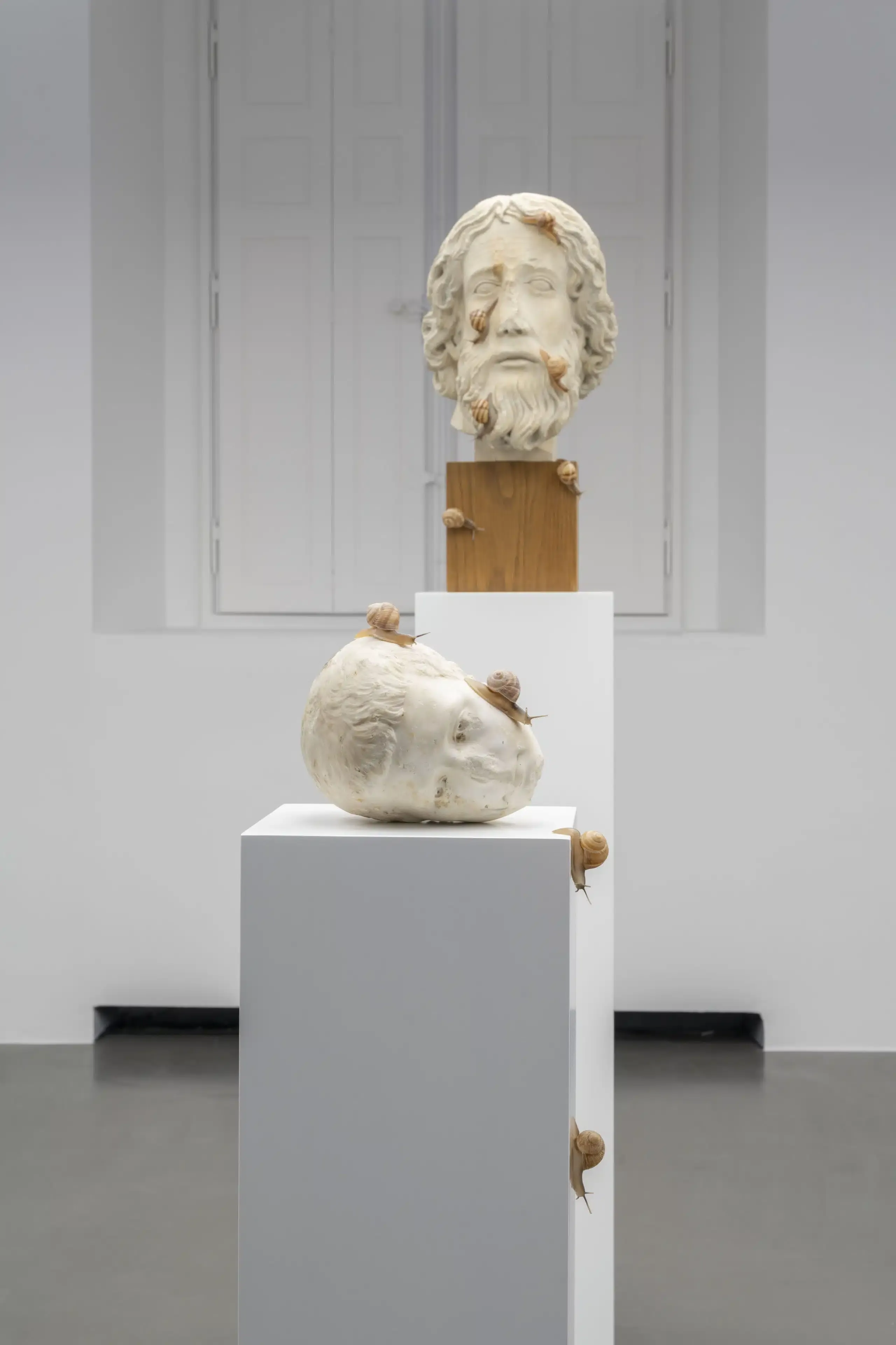 Théo Mercier — I Swallow Your Tears — image 7 of 7