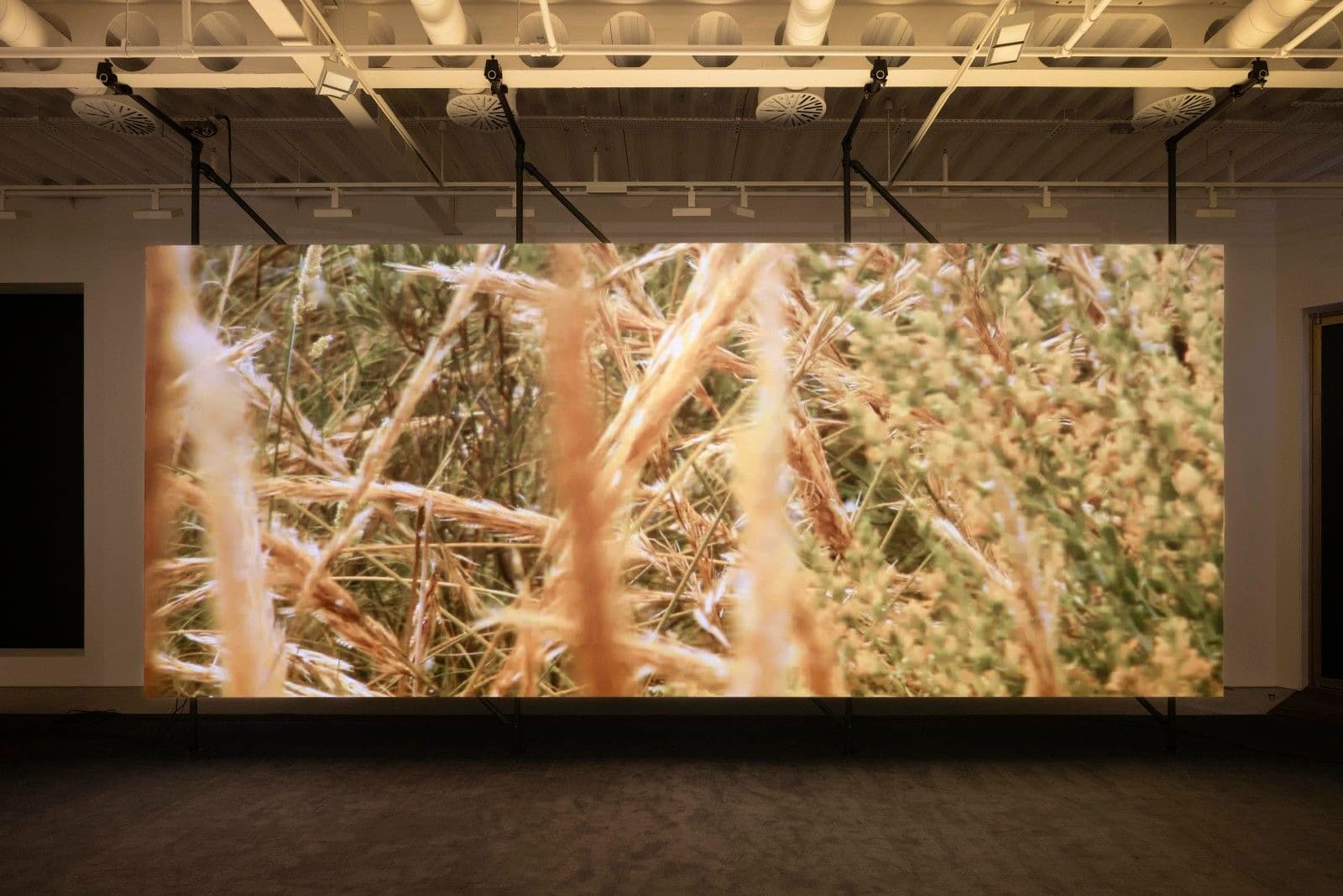 Philippe Parreno — El Almendral — image 2 of 4