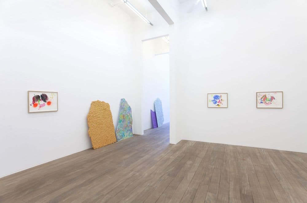 Mika Rottenberg — Mika Rottenberg — image 4 of 8