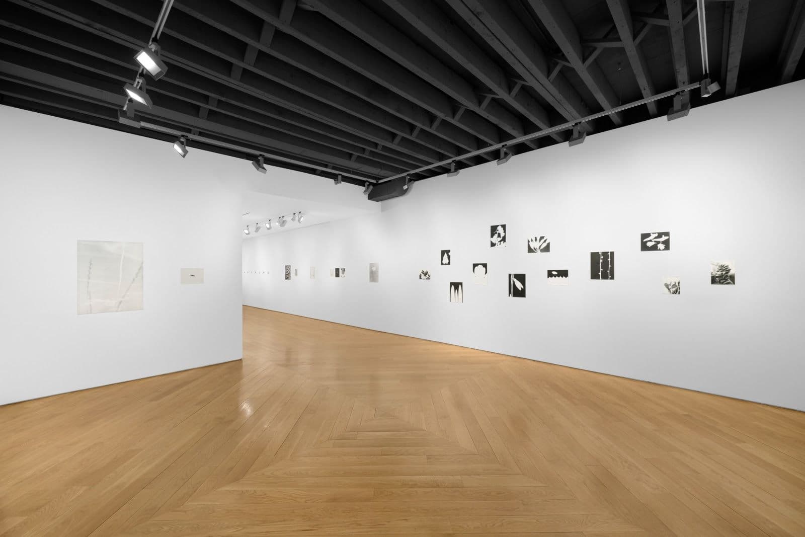 Jochen Lempert — Jochen Lempert — image 2 of 2