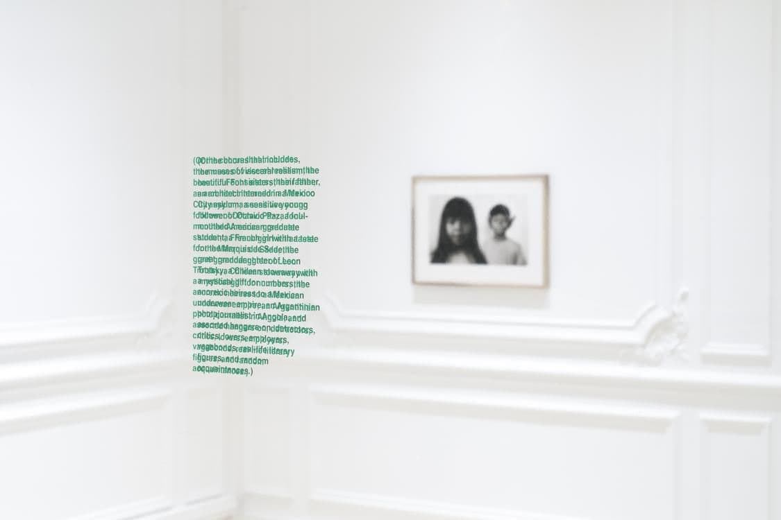Rirkrit Tiravanija — In Aliens We Trust — image 5 of 6