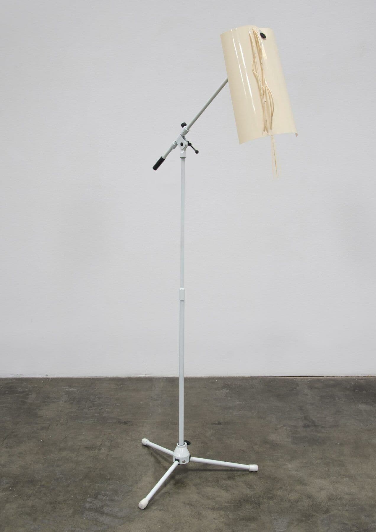 Shirley Tse — Stakeholders