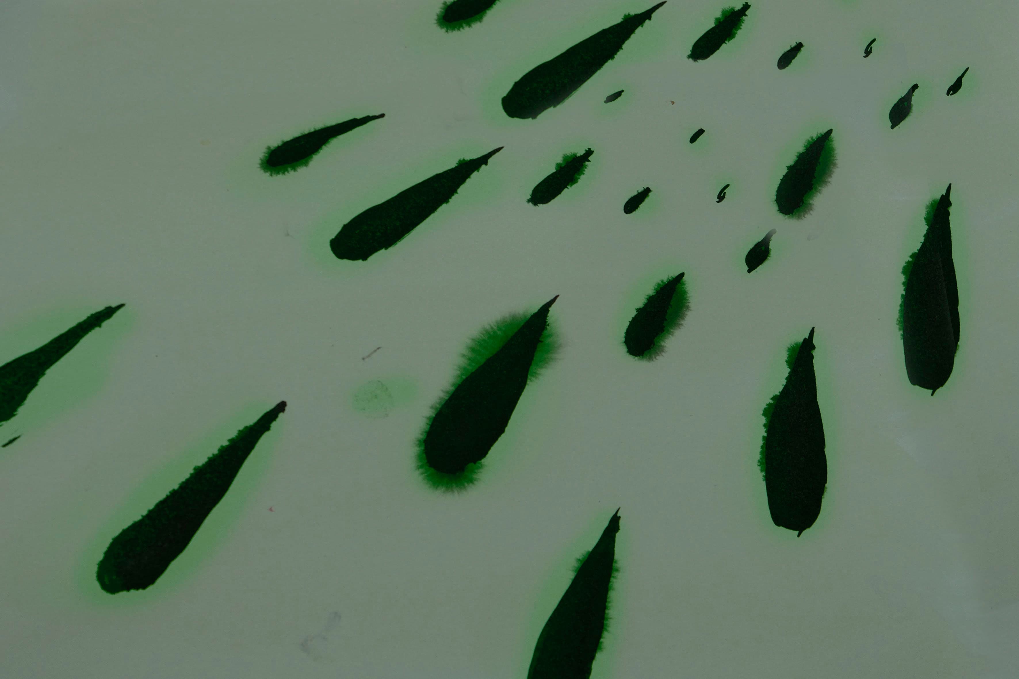 Birgit Brenner & Ricarda Roggan — Films — image 2 of 2