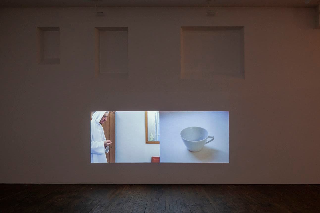 Rosalind Nashashibi & Lucy Skaer — Pygmalion Margaret Ursus Uan — image 5 of 10
